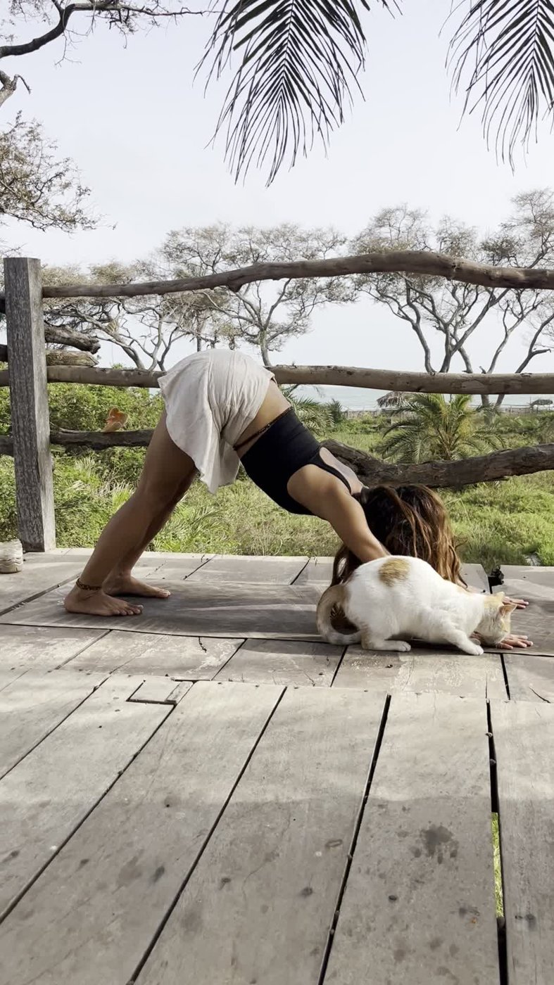 Yona in downward dog on a wooden deck, with a dog wandering onto the mat